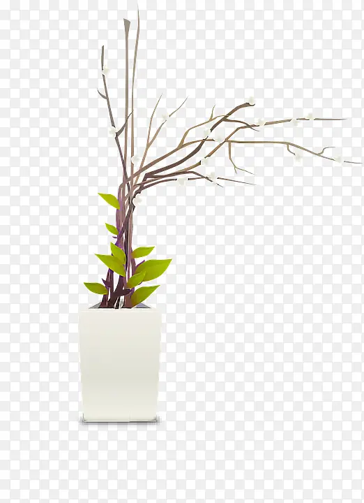 ���� ��֦ ��֦-������