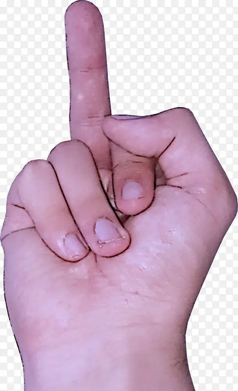 ��ָ �� Ƥ��-������