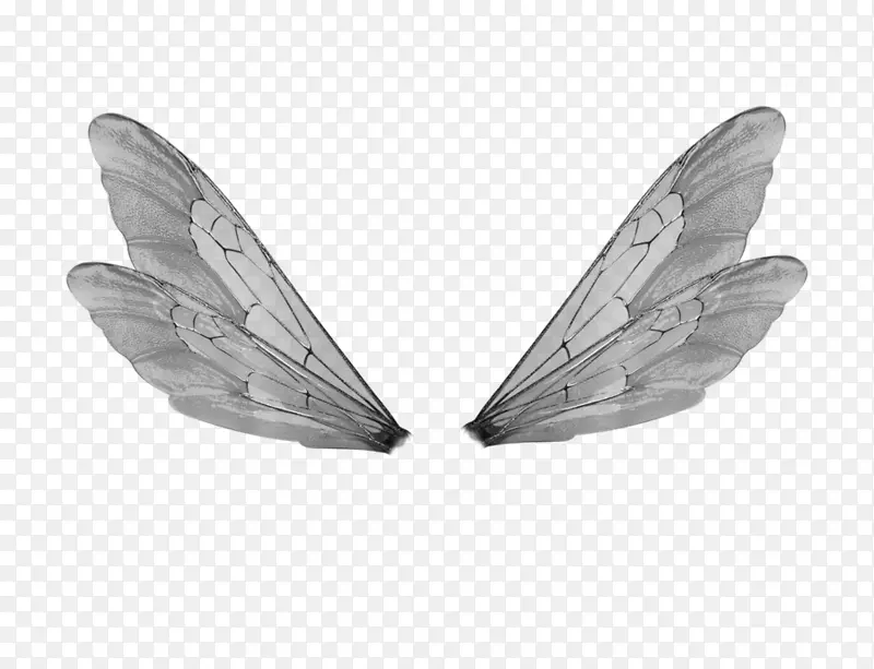 ˮţ����Ů-�������-������