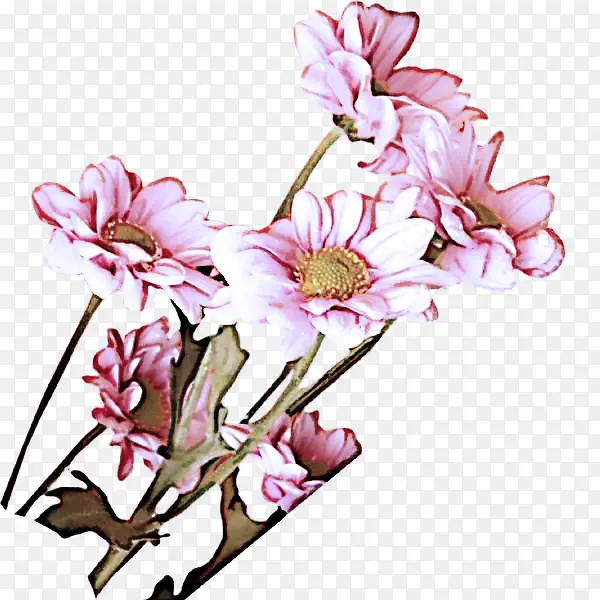 ���� ����ֲ�� ֲ��-������