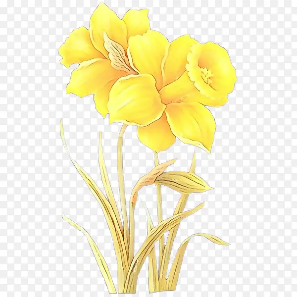 ��ͨ �� ��ɫ-������