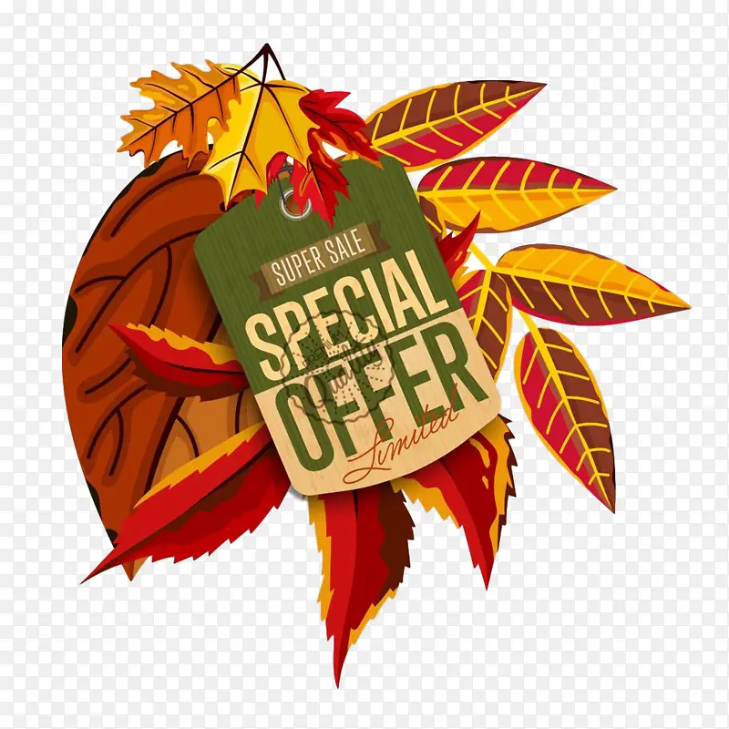 Ҷ�� �� ֲ��-������