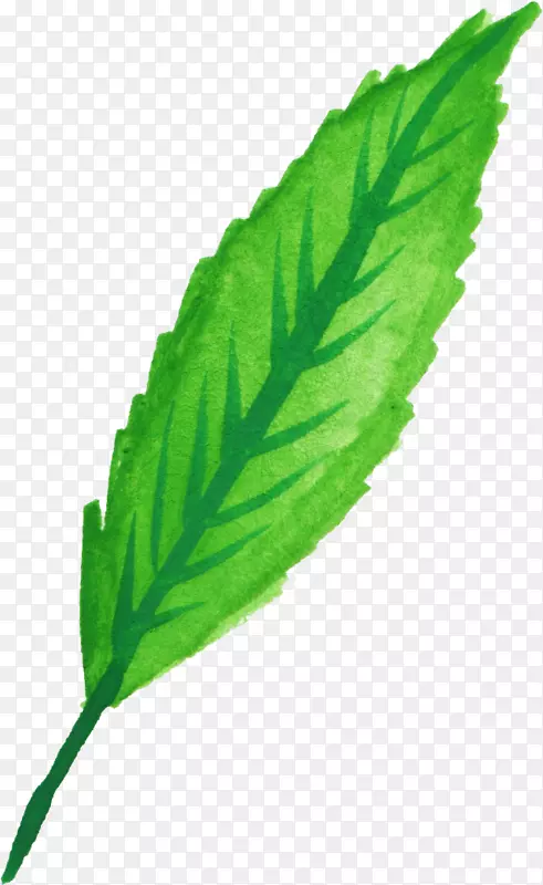 ����Ҷ��ˮ�ʻ�-Ҷˮ��-������