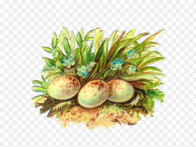 ֲ�� װ���� ��-������