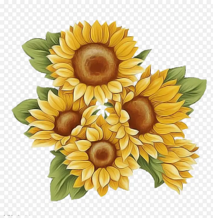 ���տ� ���� ��ɫ-������