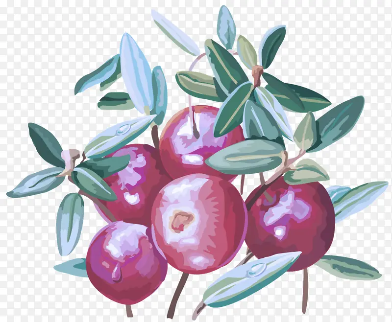 ˮ�� ֲ�� ��-������