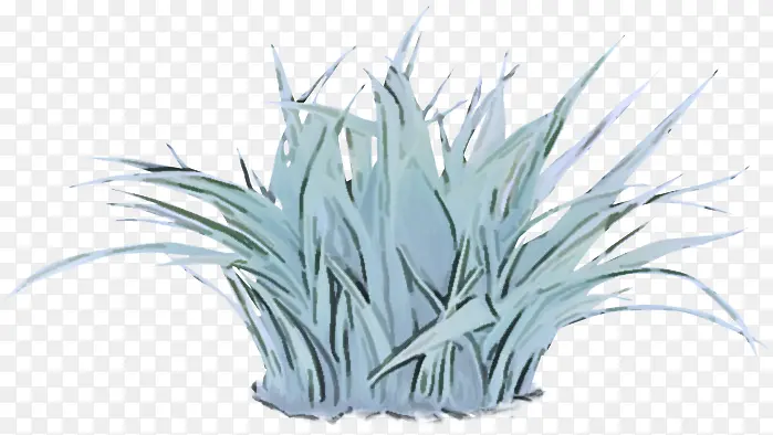 ��ɫ �� ֲ��-������