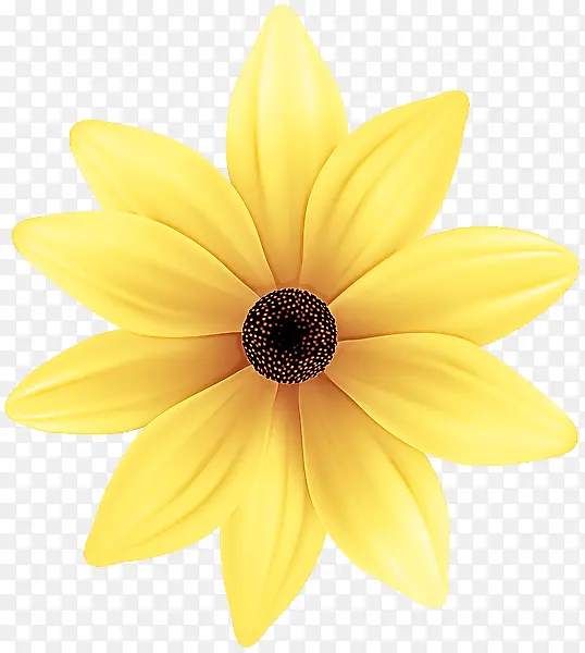 ���� ��ɫ ��-������