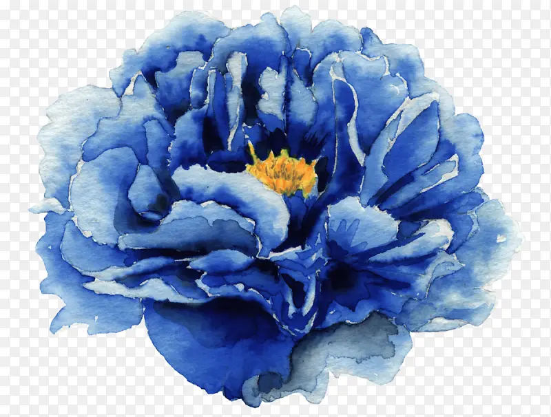 ��ɫ �� ����-������