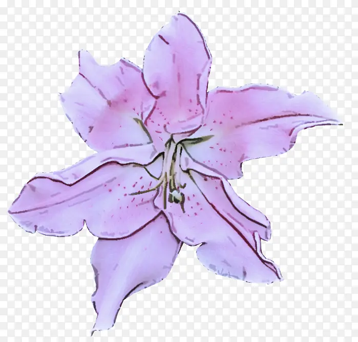 �� ���� ������-������