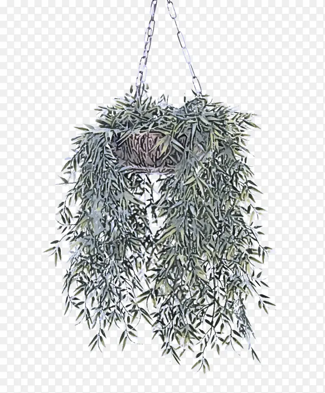 ���� ֲ�� ��֦-������