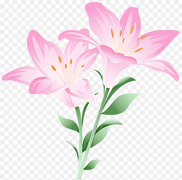 �� ����ֲ�� ����-������