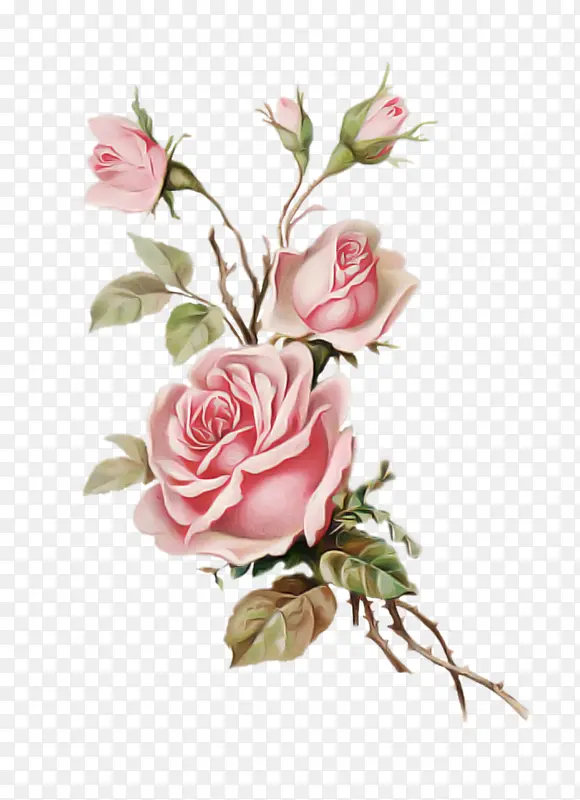 ���� õ�� ��԰õ��-������