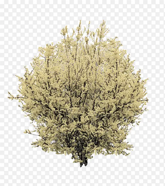 ֲ�� �� ��-������