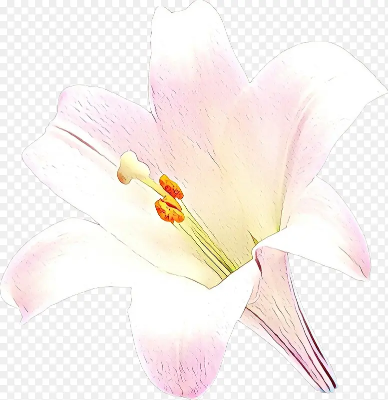 ��ͨ ��ɫ ����-������