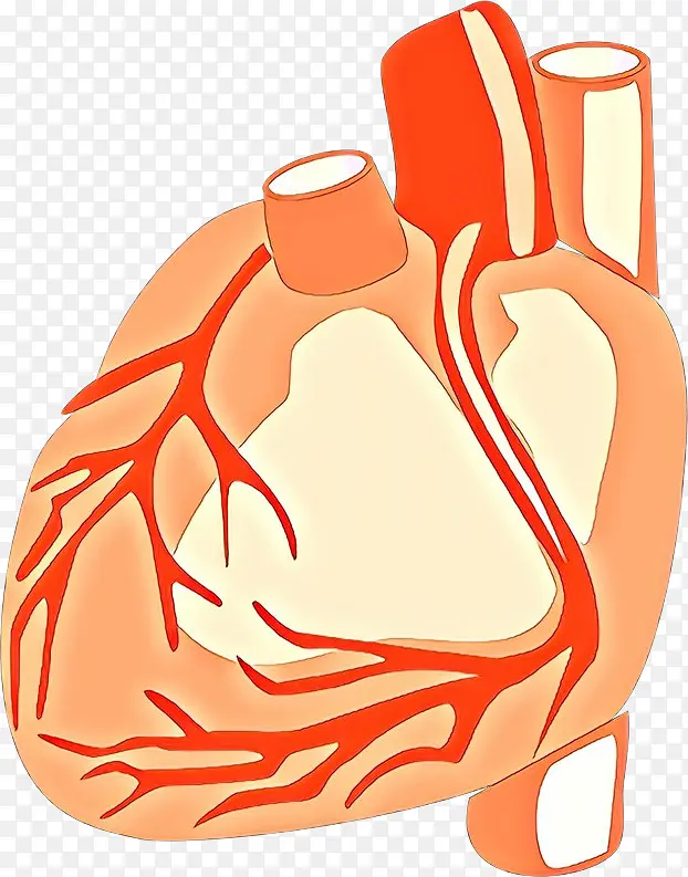 ��ͨ ��ɫ Ь��-������