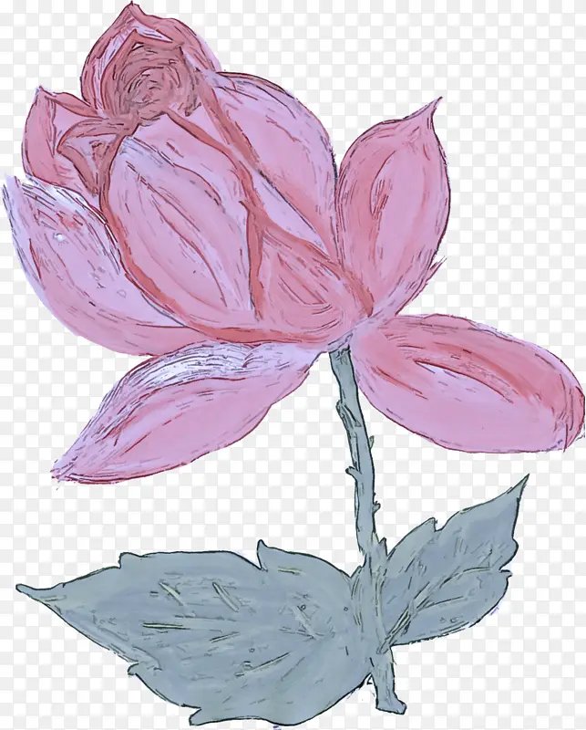 �� ���� ֲ��-������