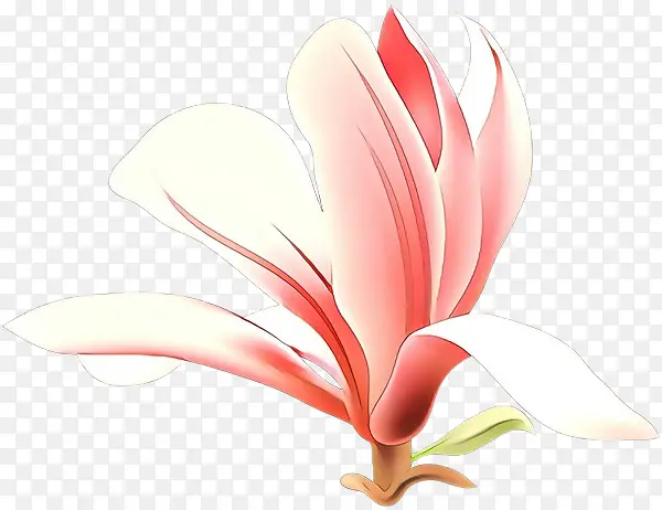 ��ͨ ���� ��-������