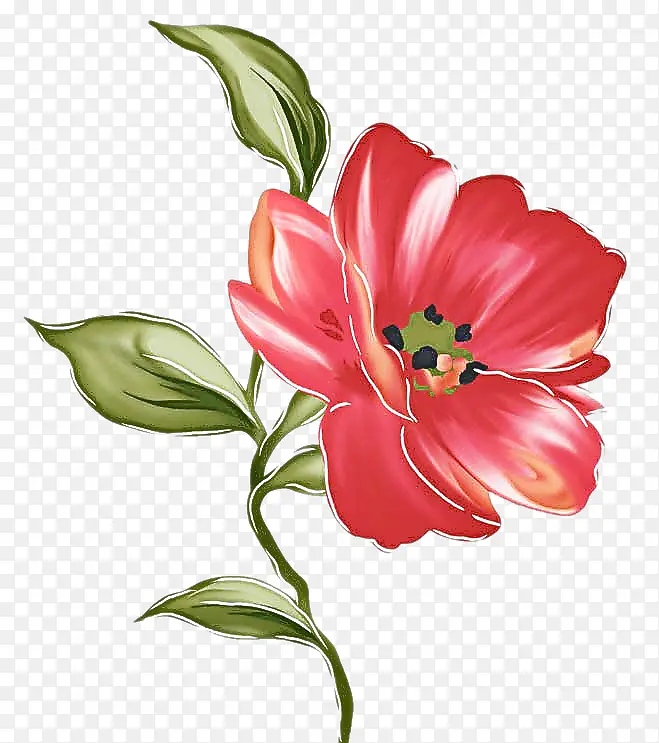 ���� ����ֲ�� ֲ��-������