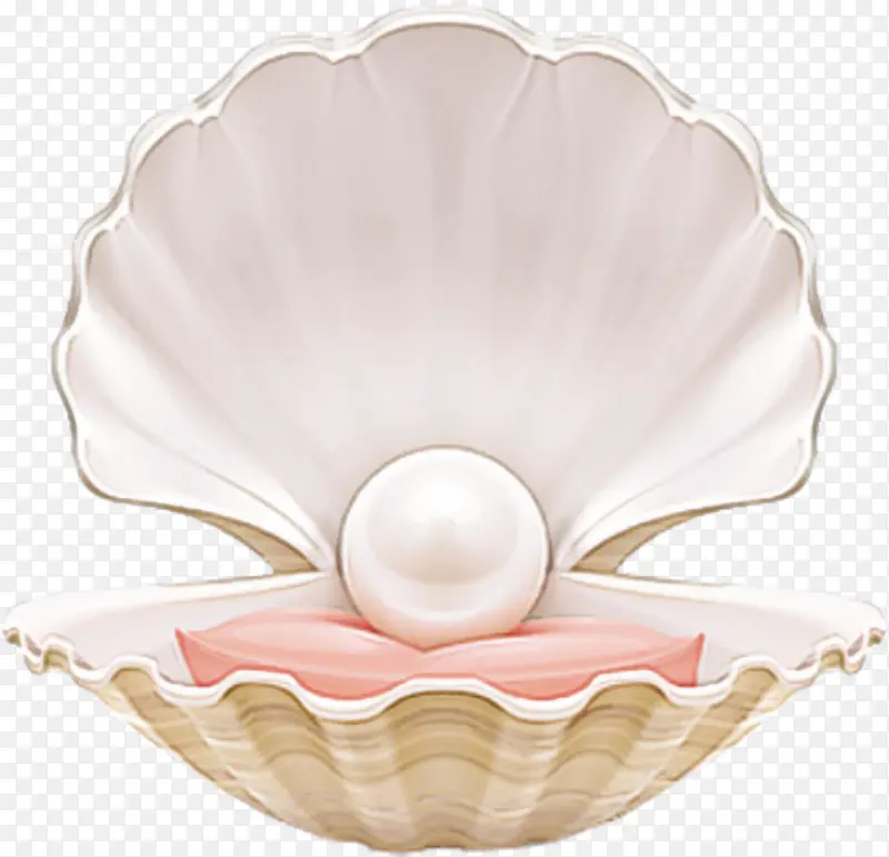 ��ɫ ���� �;�-������