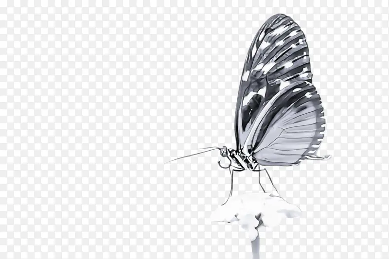 ���� ���� �ɶ�ͺ���-������