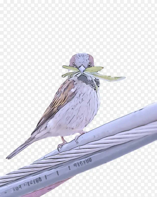 �� � ���-������