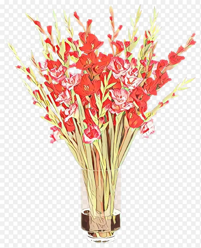 ��ͨ �� ֲ��-������