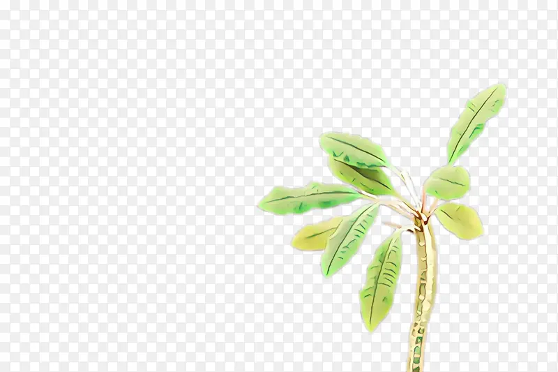 ��ͨ ��ɫ ��-������