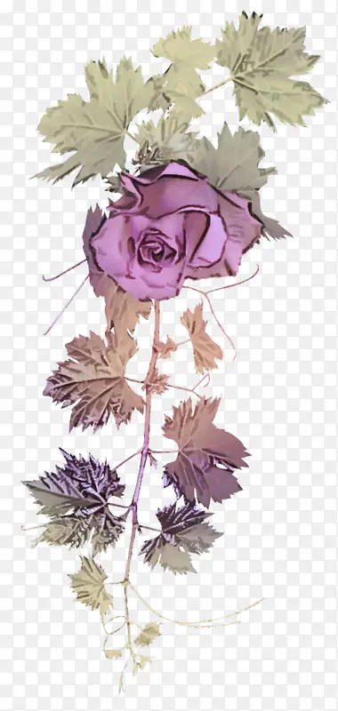 �� ֲ�� �л�-������