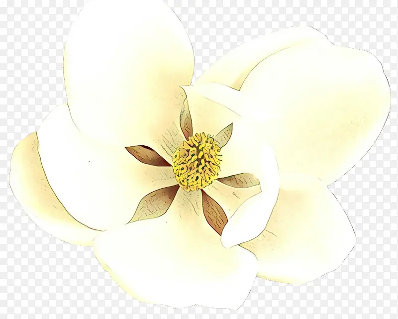 ��ͨ ��ɫ ����-������