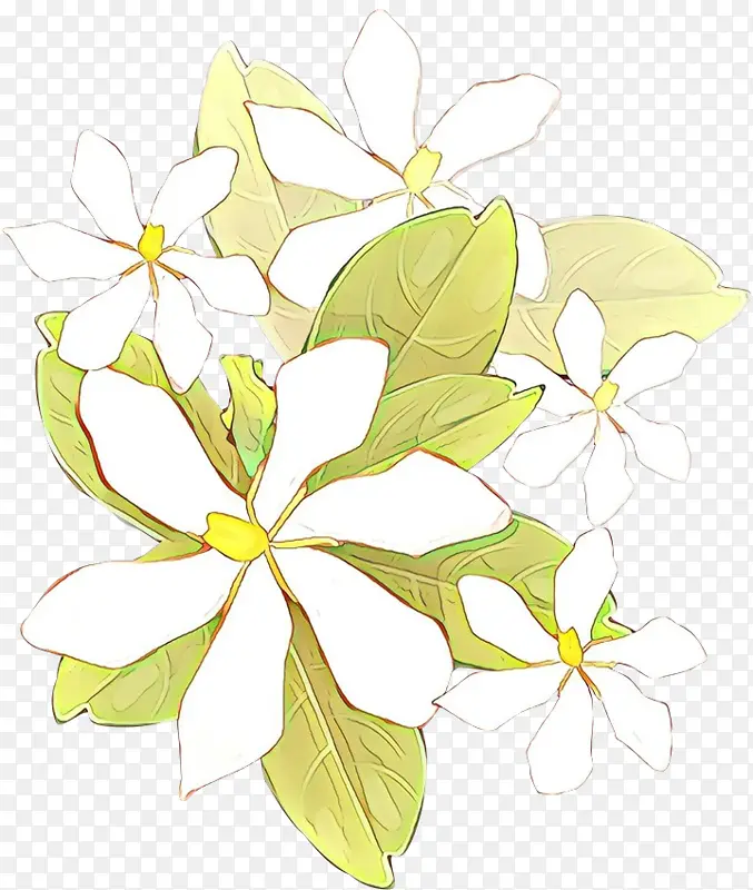 ��ͨ �� ֲ��-������