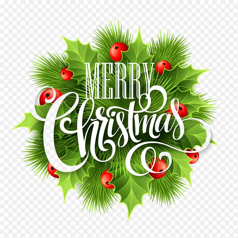 ʥ��װ�� ������ ֲ��-������