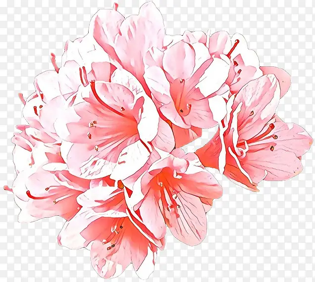 ��ͨ ���� ��ɫ-������