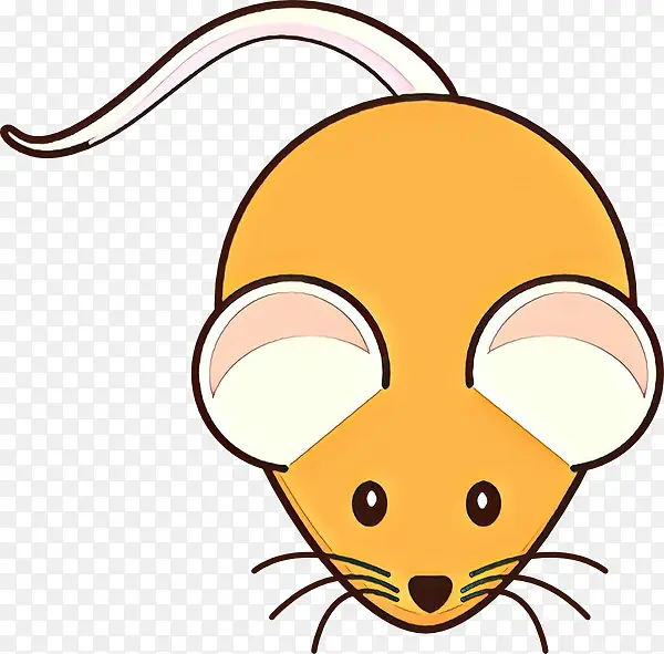 ��ͨ ���� ͷ-������