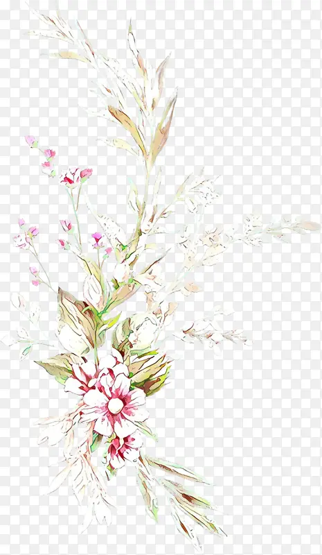 ��ͨ �� ֲ��-������