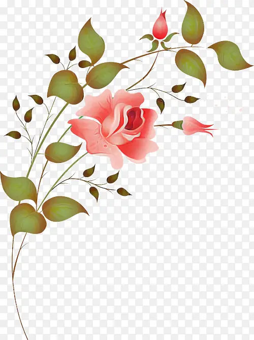 �� ֲ�� ����-������