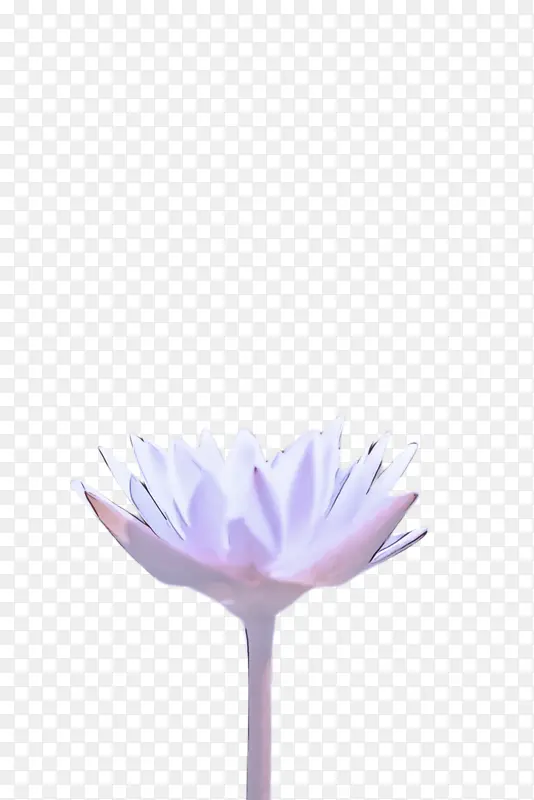 ��ɫ ��ɫ ����-������