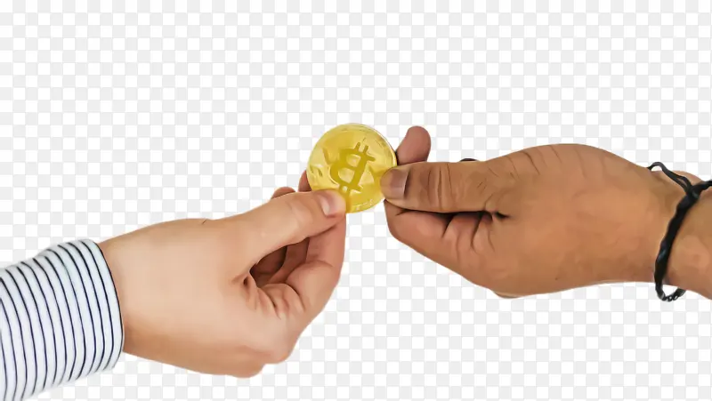 ����ʳƷ �� ��ɫ-������