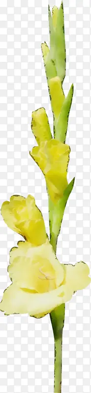 ˮ�� ���� ʪī-������