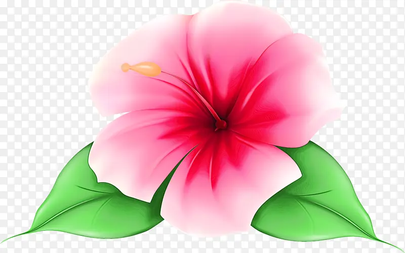 ˮ�� ���� ʪī-������