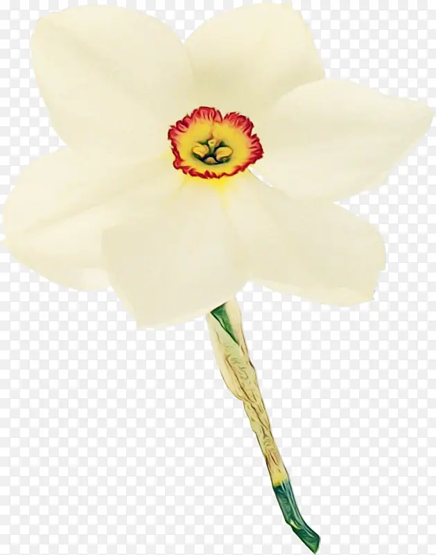 ˮ�� ���� ʪī-������