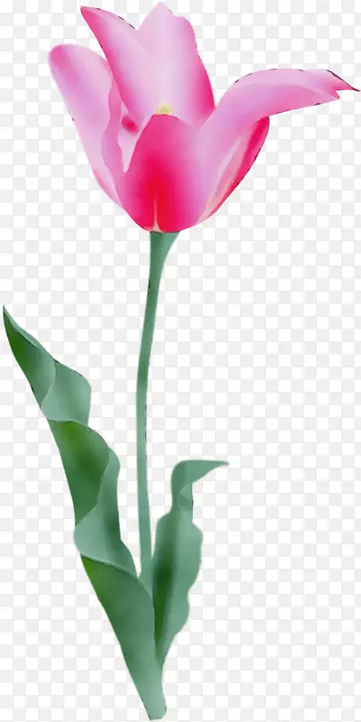 ˮ�� ���� ʪī-������