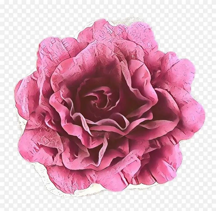 ��ͨ ��ɫ ����-������