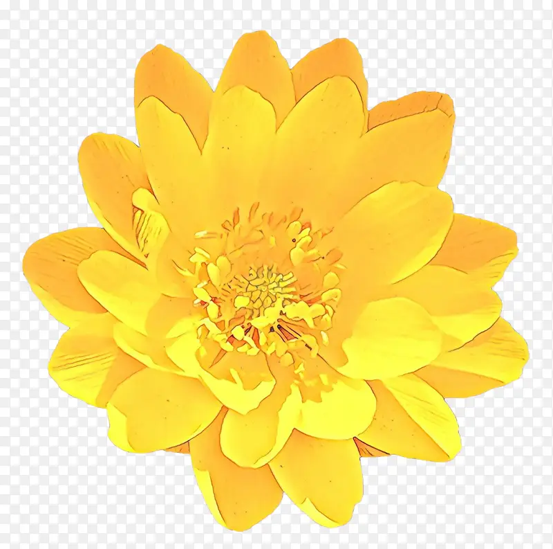 ��ͨ �� ��ɫ-������