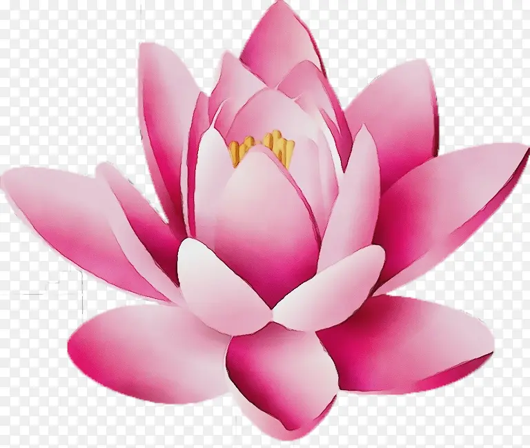 ˮ�� ���� ʪī-������