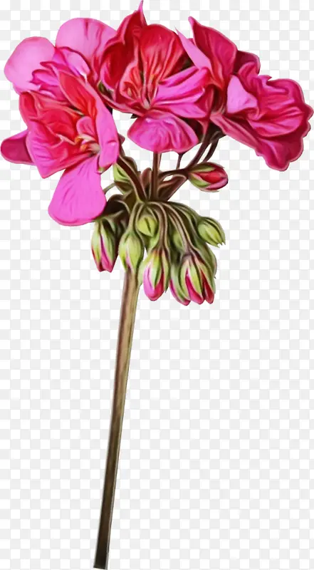 ˮ�� ���� ʪī-������