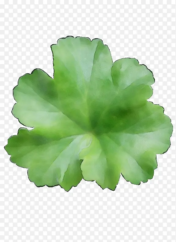 ˮ�ʻ� ���� ʪī-������