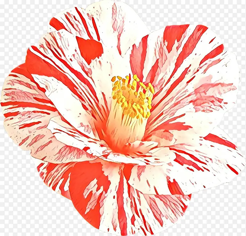 ��ͨ ���� ����-������