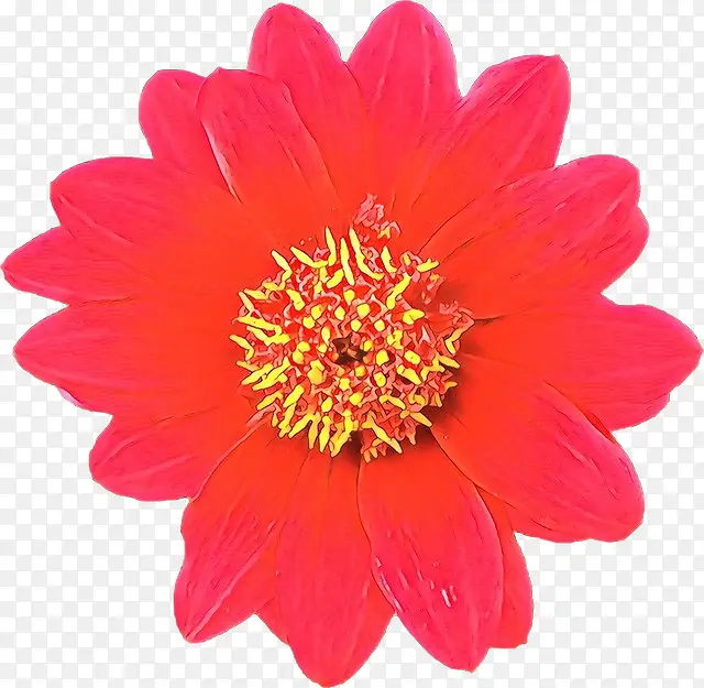 ��ͨ ���� ����ֲ��-������