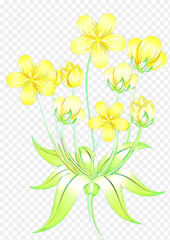 ��ͨ �� ��ɫ-������